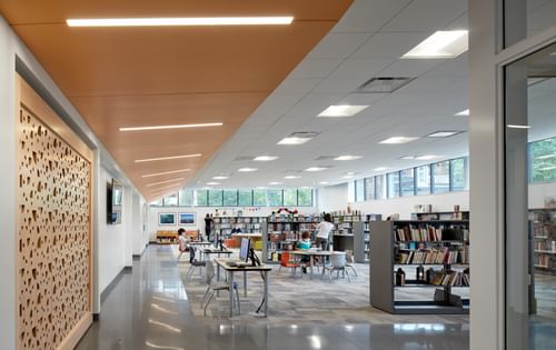 Merlo Library 8