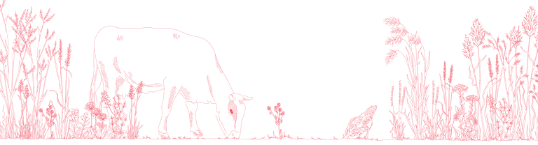 Billboard Graphic for Website White 01