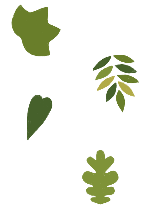 CAC Recovered Leaves 2
