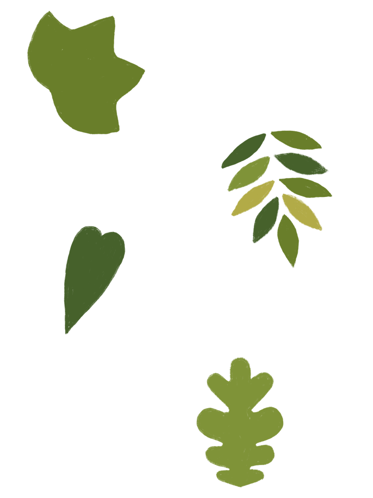 CAC Recovered Leaves 2