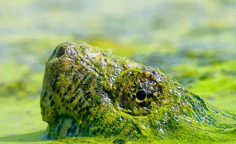 Screenshot 2025 11 05 145208