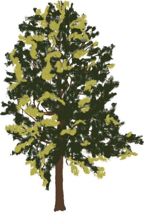 Single Tree Tuliptree downsize