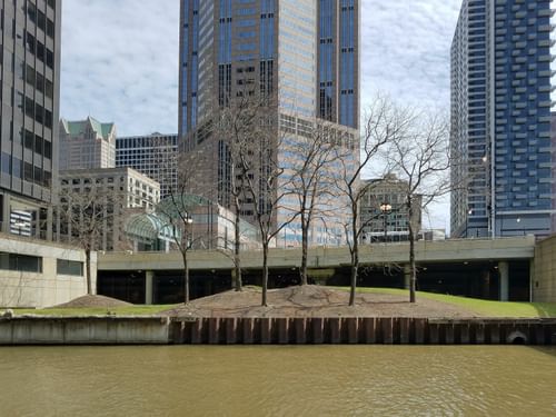 South Branch Riverwalk 08