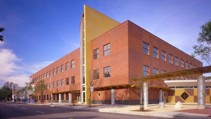 Little Village Thumbnail