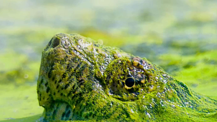 Screenshot 2025 11 05 145208